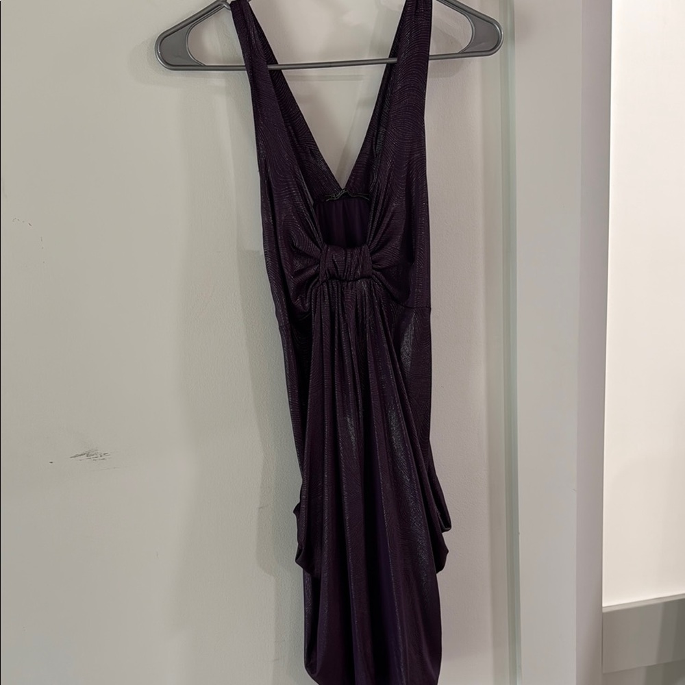 Elegant Purple Evening Dress